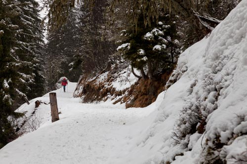Caminante a esquí, alejándose - © Norbert Pousseur