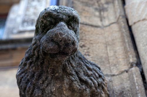 Gargoyle - © Norbert Pousseur