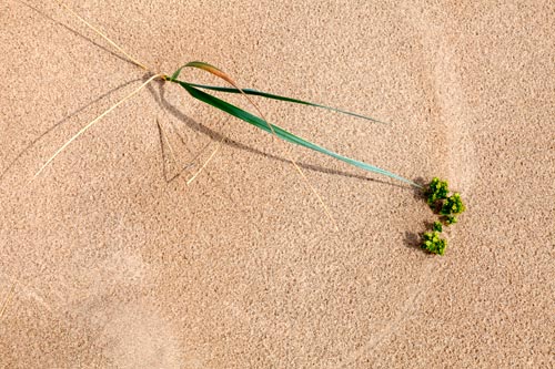 Courbes de vent - © Norbert Pousseur