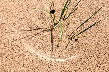 Traces sur sable fin - © Norbert Pousseur