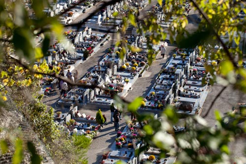 In the daytime of All Saints' Day - © Norbert Pousseur