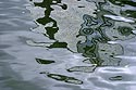 Reflets de Seine - © Norbert Pousseur