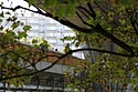 Passant sur le pont de Clichy - © Norbert Pousseur