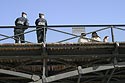 Policiers en observation appuyés sur une balustrade de pont - © Norbert Pousseur