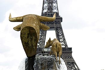 Tête dorée de taureau du Trocadéro - statues - © Norbert Pousseur