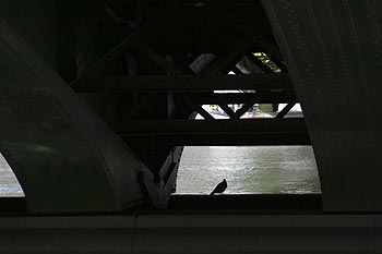 Sous le pont Mirabeau - ponts sur Seine - © Norbert Pousseur