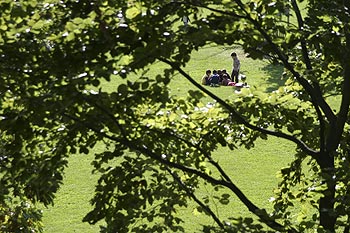 Jeux dans le parc de l'île St Germain - ponts sur Seine - © Norbert Pousseur