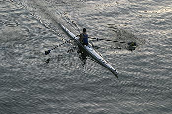 Rameur de l'île de la Jatte - ponts sur Seine - © Norbert Pousseur