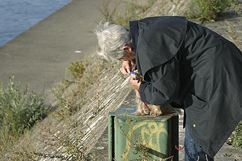 Dame brossant son chien au bord des quais - ponts sur Seine - © Norbert Pousseur