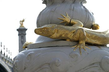 Pattes de lézard contemplant les passants - © Norbert Pousseur