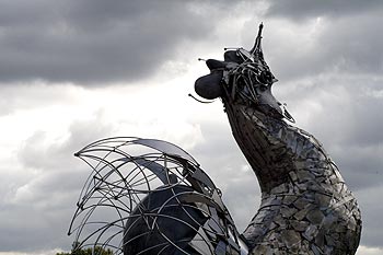 Coq d'Arthur JOAS "Le chant du quinze" - © Norbert Pousseur