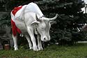 statue de vache suisse - © Norbert Pousseur