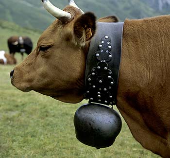 Collier à clous de sonaille de Martigny - © Norbert Pousseur