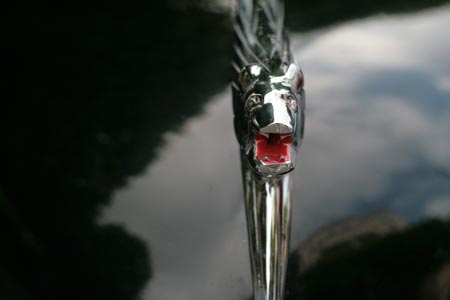 Lion de Peugeot 203 - voiture ancienne - © Norbert Pousseur