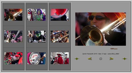 Musiciens du défilé - Carnaval Zurich 2010 - © Norbert Pousseur