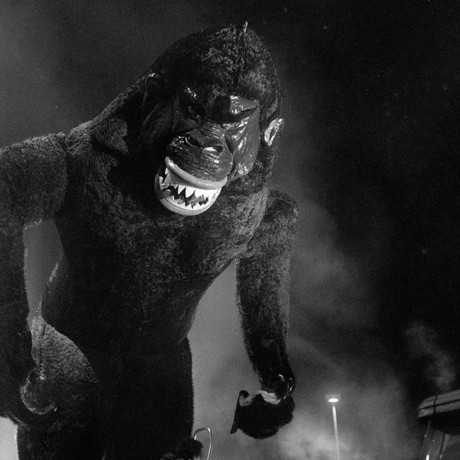 King-Kong cinématographique - © Norbert Pousseur
