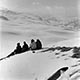 Imagette : Solitude de groupe en pleine neige - © Norbert Pousseur