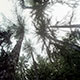 Imagette :  Griffures dans le ciel -  © Norbert Pousseur