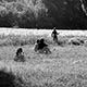 Imagette :  Un jour de fin d'été -  © Norbert Pousseur