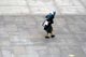 Pilgrim in Lourdes - © Norbert Pousseur