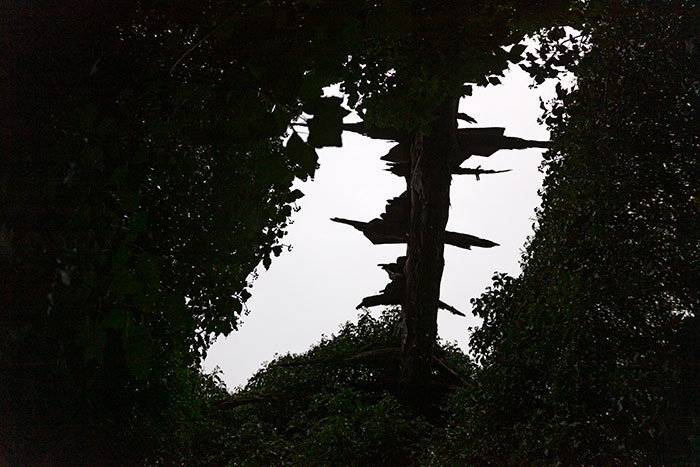 Poutre de toit effondré -  © Norbert Pousseur