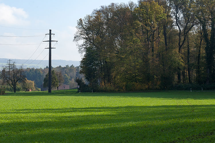 Poteau électrique faisant partie d'un paysage -  © Norbert Pousseur