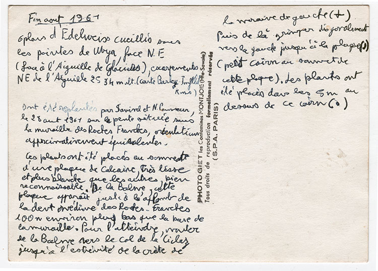 Mémo de Samivel sur la plantation d'édelweiss aus Contamines-montjoie - © Samivel et Norbert Pousseur Mémo de Samivel sur la plantation d'édelweiss aus Contamines-montjoie - © Samivel et Norbert Pousseur
