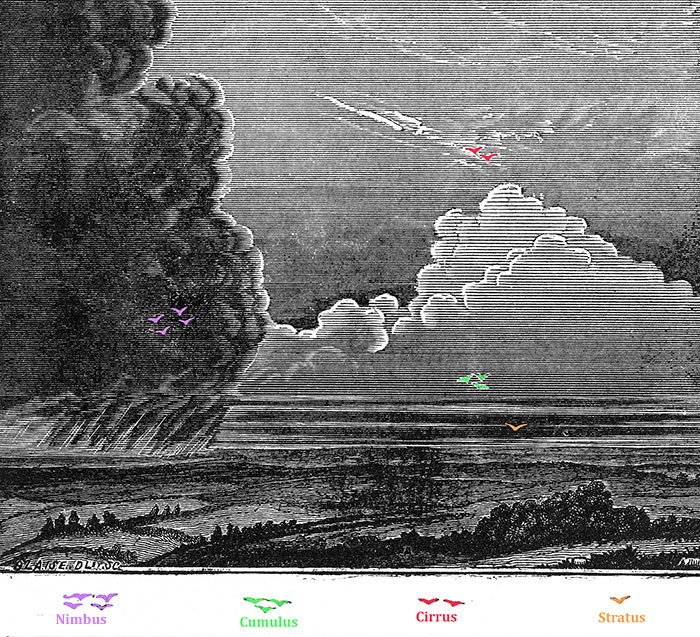 Illustration de l'article de 1867 sur les nuages -  reproduction © Norbert Pousseur