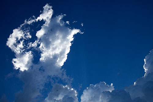 Nuage blanc en ciel immaculé  -  © Norbert Pousseur
